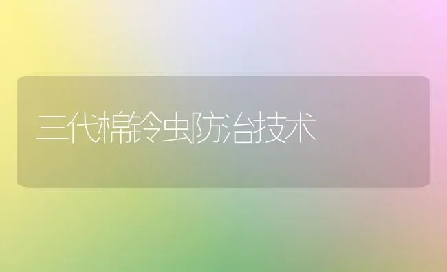 三代棉铃虫防治技术 | 养殖知识