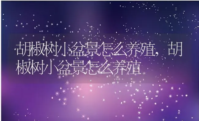胡椒树小盆景怎么养殖,胡椒树小盆景怎么养殖 | 养殖科普