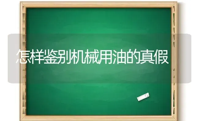 怎样鉴别机械用油的真假 | 养殖技术大全