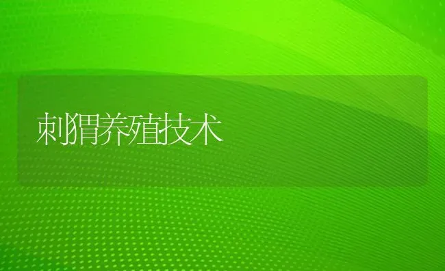 刺猬养殖技术 | 养殖知识