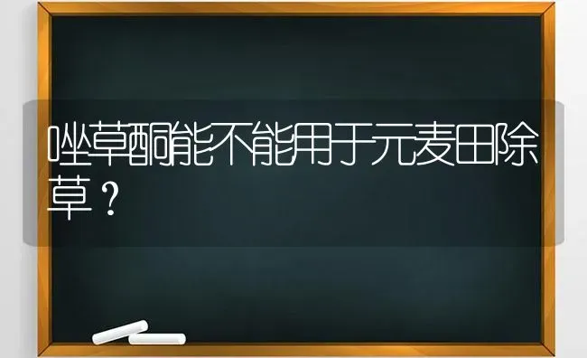 唑草酮能不能用于元麦田除草? | 养殖知识