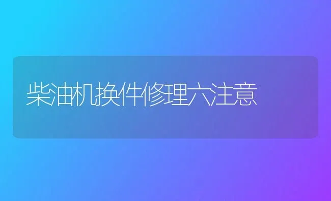 柴油机换件修理六注意 | 养殖技术大全