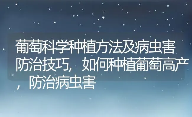 葡萄科学种植方法及病虫害防治技巧,如何种植葡萄高产，防治病虫害 | 养殖学堂