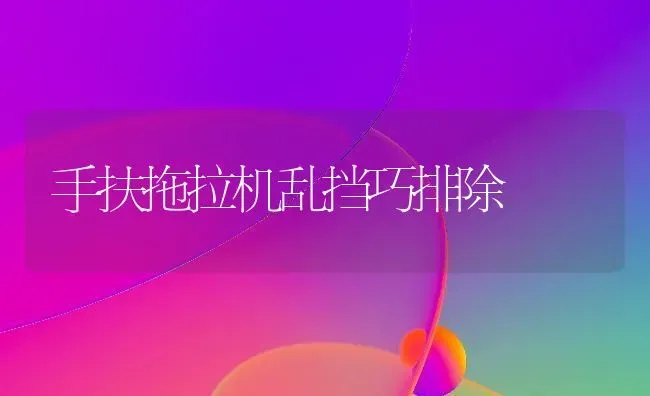 手扶拖拉机乱挡巧排除 | 养殖知识