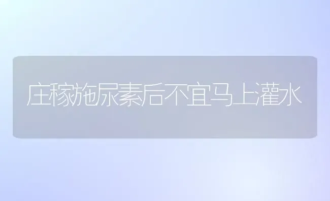 庄稼施尿素后不宜马上灌水 | 养殖技术大全