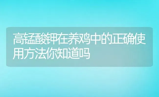 高锰酸钾在养鸡中的正确使用方法你知道吗 | 养殖学堂