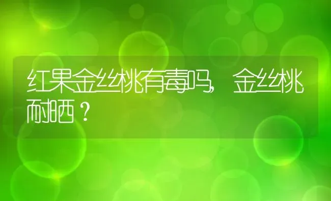 红果金丝桃有毒吗,金丝桃耐晒？ | 养殖科普