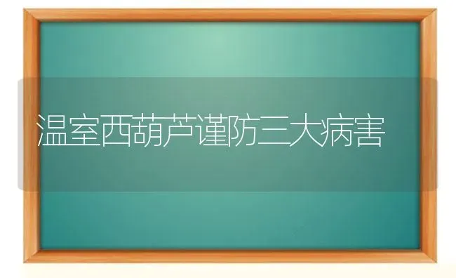 温室西葫芦谨防三大病害 | 养殖技术大全