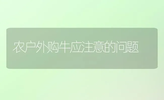 农户外购牛应注意的问题 | 养殖技术大全