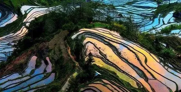 玛瑙是什么东西,玛瑙产地是哪里？