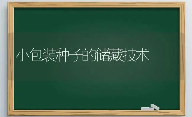 小包装种子的储藏技术 | 养殖技术大全