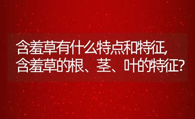 含羞草有什么特点和特征,含羞草的根、茎、叶的特征？ | 养殖科普