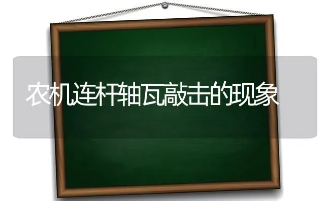 农机连杆轴瓦敲击的现象 | 养殖技术大全