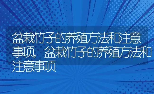 盆栽竹子的养殖方法和注意事项,盆栽竹子的养殖方法和注意事项 | 养殖科普