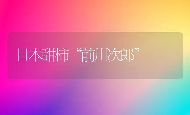 日本甜柿“前川次郎” | 养殖技术大全