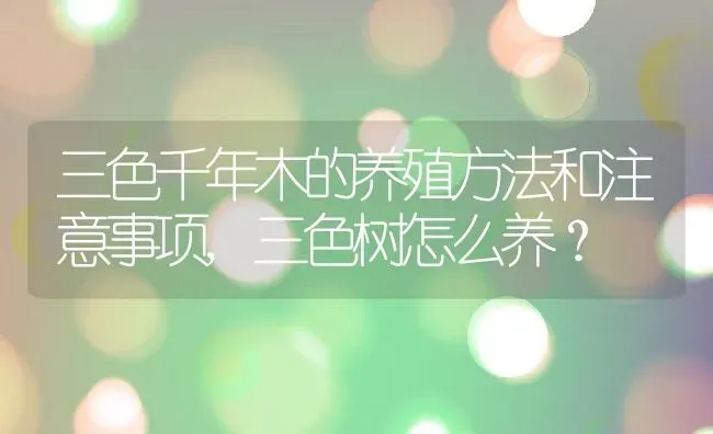 三色千年木的养殖方法和注意事项,三色树怎么养？ | 养殖科普