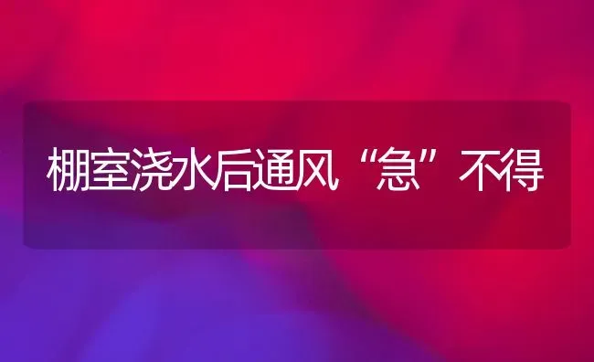 棚室浇水后通风“急”不得 | 养殖技术大全