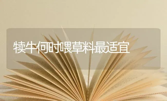 犊牛何时喂草料最适宜 | 养殖技术大全