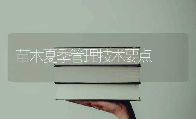 苗木夏季管理技术要点 | 养殖知识