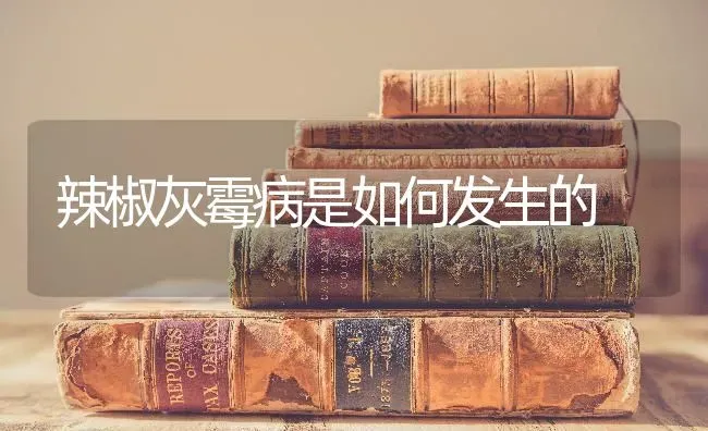 辣椒灰霉病是如何发生的 | 养殖技术大全