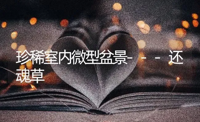 珍稀室内微型盆景---还魂草 | 养殖技术大全