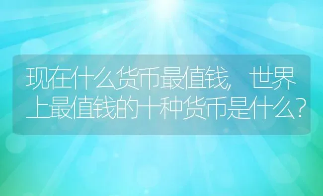 现在什么货币最值钱,世界上最值钱的十种货币是什么？ | 养殖学堂