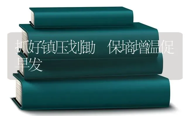 抓好镇压划锄 保墒增温促早发 | 养殖知识