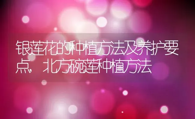 罗氏沼虾的池塘养殖技术,室内罗氏虾怎么养殖 | 养殖学堂