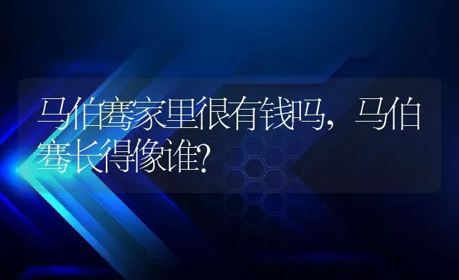 马伯骞家里很有钱吗,马伯骞长得像谁？ | 养殖科普