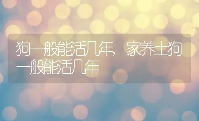 狗一般能活几年,家养土狗一般能活几年 | 养殖资料