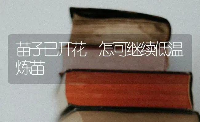 苗子已开花 怎可继续低温炼苗 | 养殖知识