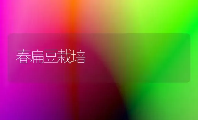 春扁豆栽培 | 养殖技术大全