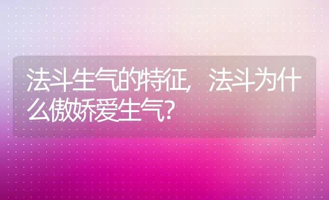 法斗生气的特征,法斗为什么傲娇爱生气？ | 养殖学堂