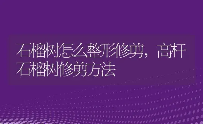 石榴树怎么整形修剪,高杆石榴树修剪方法 | 养殖学堂