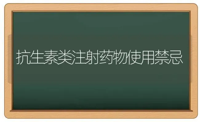 抗生素类注射药物使用禁忌 | 养殖知识