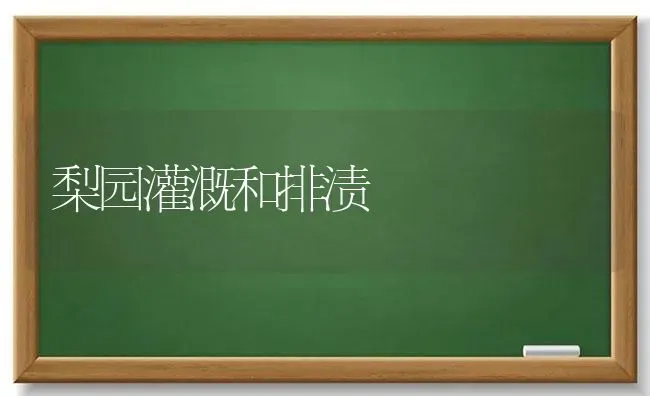 梨园灌溉和排渍 | 养殖技术大全