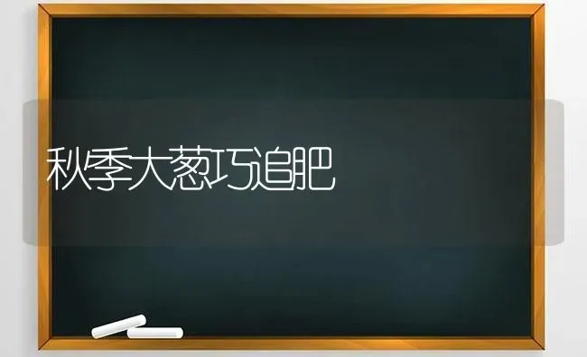 秋季大葱巧追肥 | 养殖技术大全