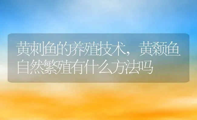 黄刺鱼的养殖技术,黄颡鱼自然繁殖有什么方法吗 | 养殖学堂