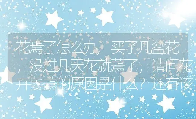 花焉了怎么办,买了几盆花，没过几天花就蔫了，请问花卉萎蔫的原因是什么？还有该怎么办？ | 养殖科普