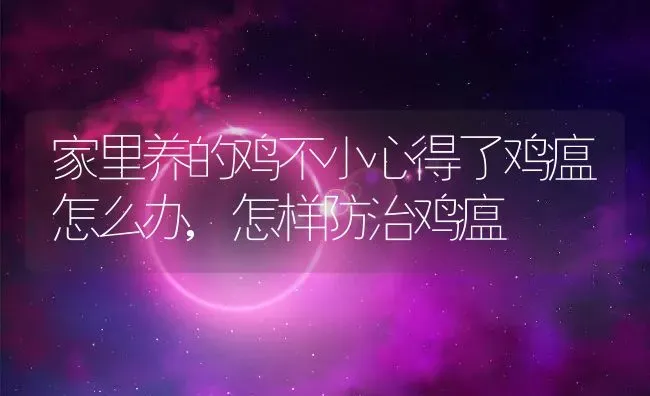 家里养的鸡不小心得了鸡瘟怎么办,怎样防治鸡瘟 | 养殖学堂
