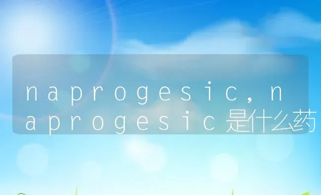 naprogesic,naprogesic是什么药 | 养殖资料
