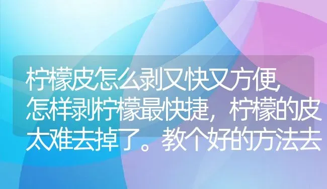 柠檬皮怎么剥又快又方便,怎样剥柠檬最快捷，柠檬的皮太难去掉了。教个好的方法去皮吧？ | 养殖科普