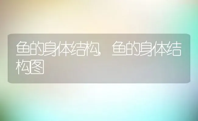 鱼的身体结构,鱼的身体结构图 | 养殖科普