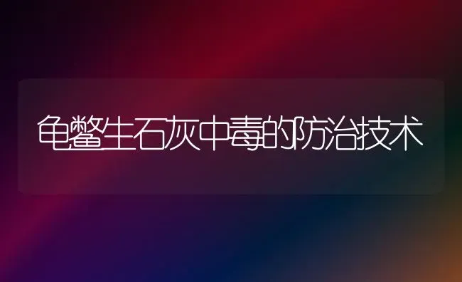 龟鳖生石灰中毒的防治技术 | 养殖知识