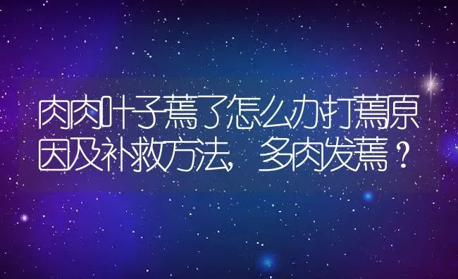 肉肉叶子蔫了怎么办打蔫原因及补救方法,多肉发蔫？ | 养殖科普