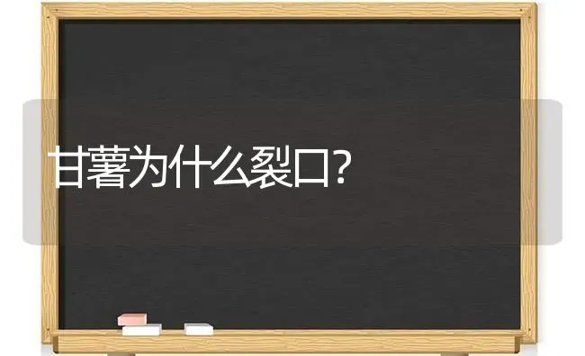 甘薯为什么裂口? | 养殖技术大全