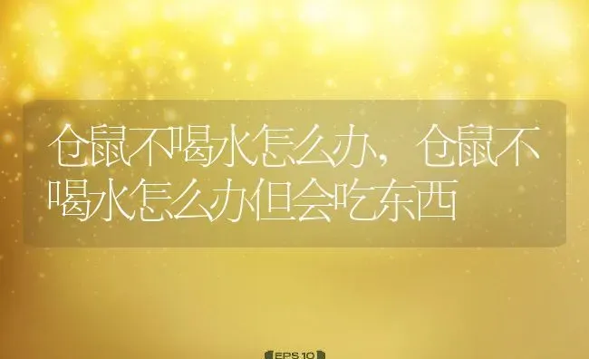 仓鼠不喝水怎么办,仓鼠不喝水怎么办但会吃东西 | 养殖科普