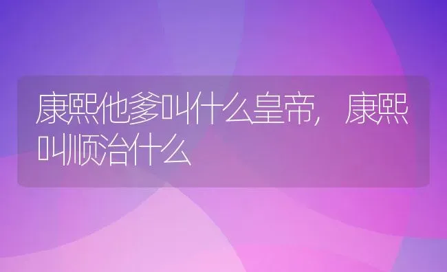 康熙他爹叫什么皇帝,康熙叫顺治什么 | 养殖学堂