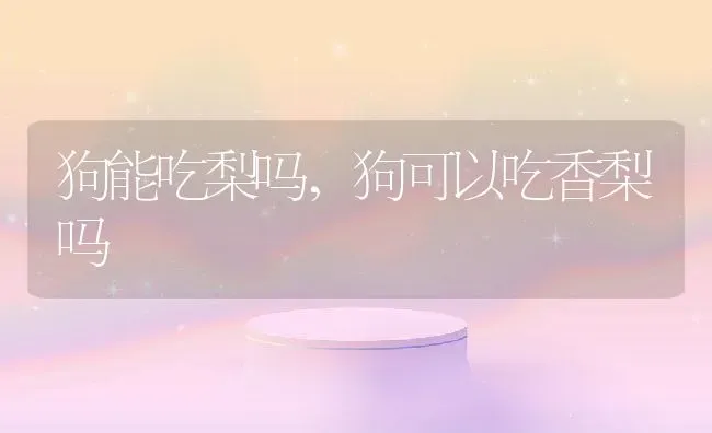 狗能吃梨吗,狗可以吃香梨吗 | 养殖学堂
