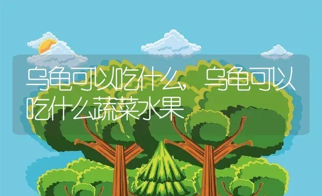 乌龟可以吃什么,乌龟可以吃什么蔬菜水果 | 养殖科普